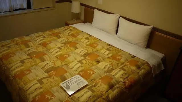 Toyoko Inn Tokyo Asakusa Senzoku Tsukuba Express 3*,  Japan
